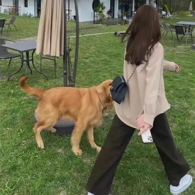 搅局专家